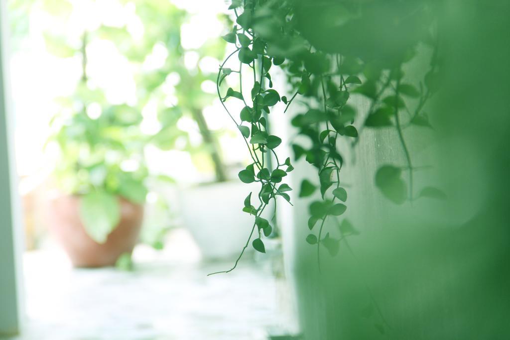 Cozy Boutique Hotel Phnom Penh Exterior foto